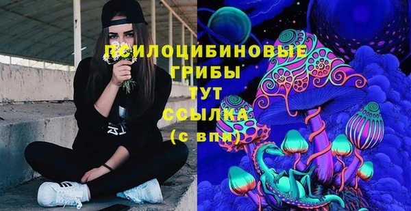 круглые Корсаков